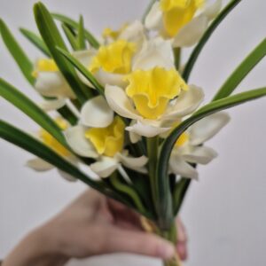 Гелеві нарциси
