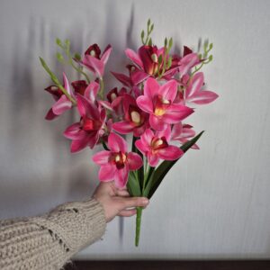 Орхідея латексна, букетиком, фуксія