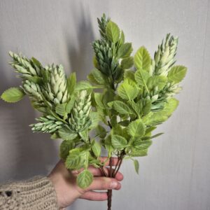 Кущ хмелю
