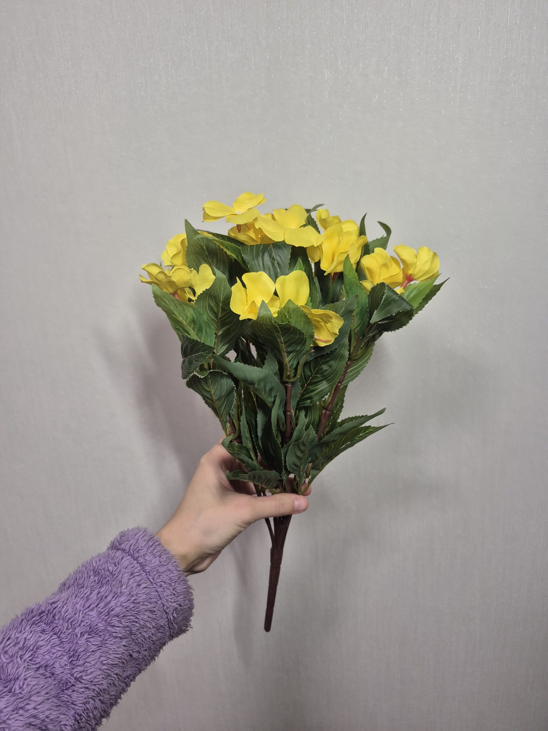 Бегонія, жовтий - Зображення 2
