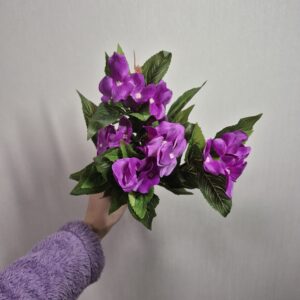 Бегонія, слива
