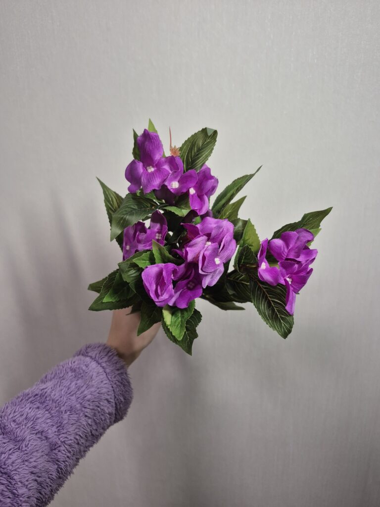 Бегонія, слива