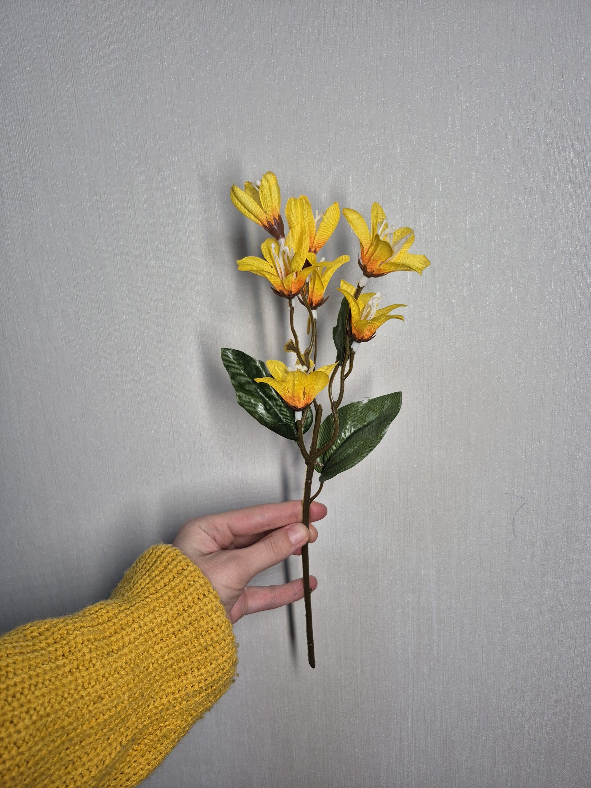 Першоцвіт, жовтий - Зображення 3
