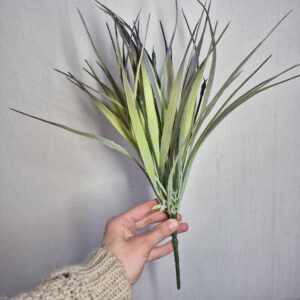 Кущ осоки, оливковий графіт